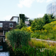 The grounds around CSL are designed to collect water.